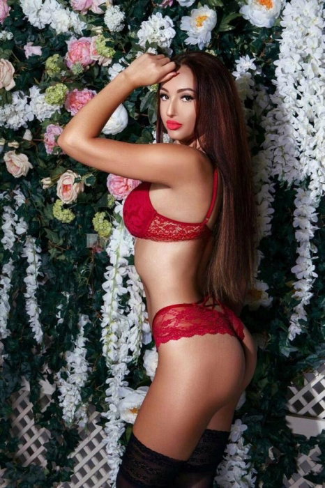 Lola - photo 9