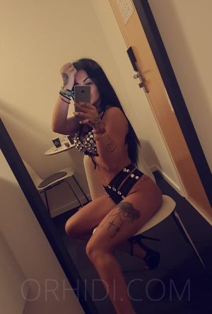 Brandy - foto