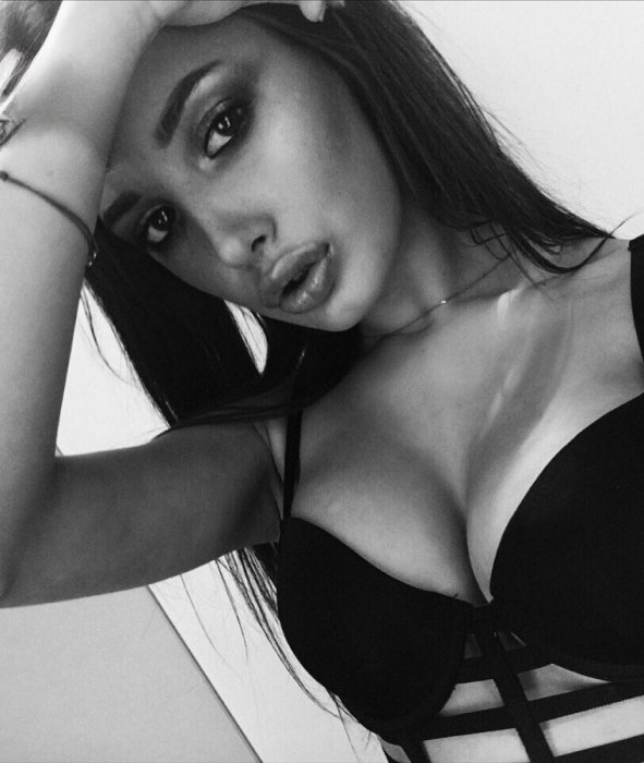 Elvira - foto 6