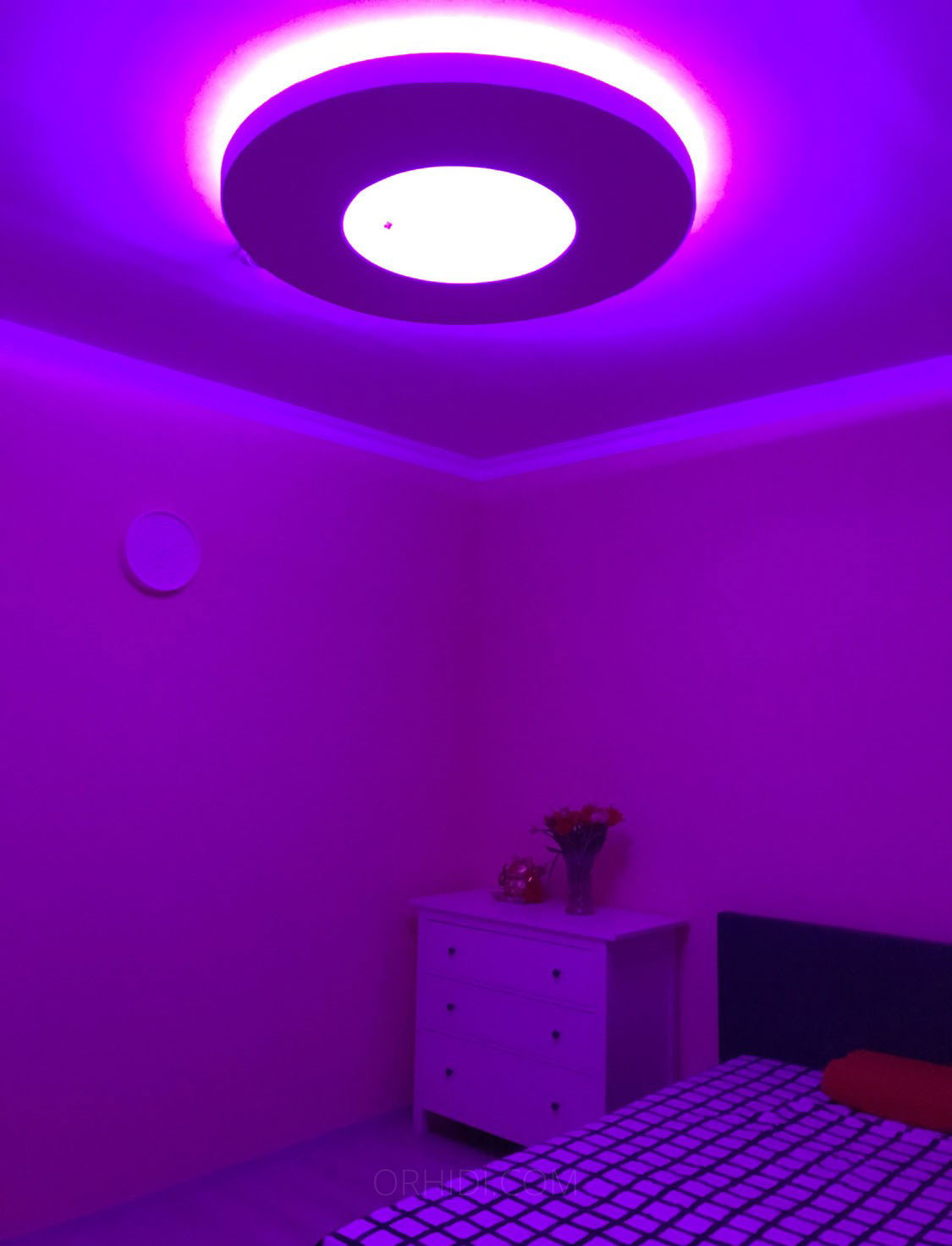 Carissa - foto
