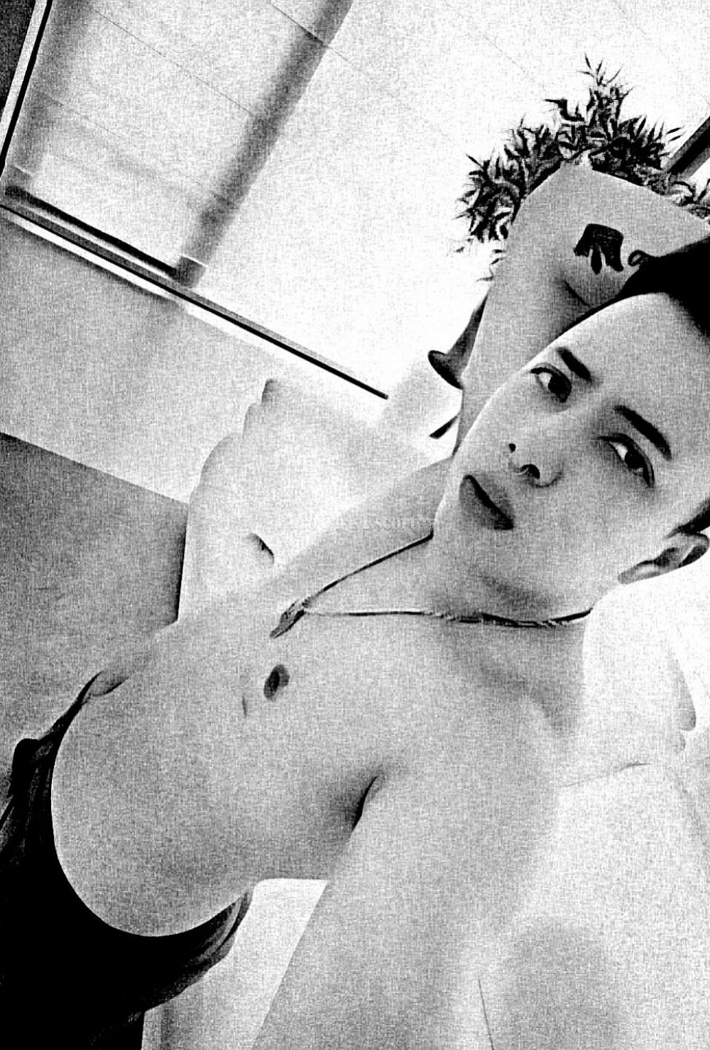 Alejandro - photo