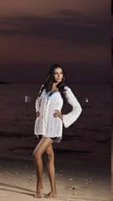 Danel - photo 1