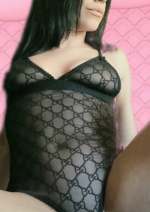 Alexa - photo