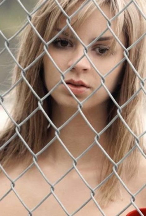 Phoebe - foto 11